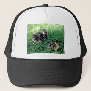 Duckling Parad Keps