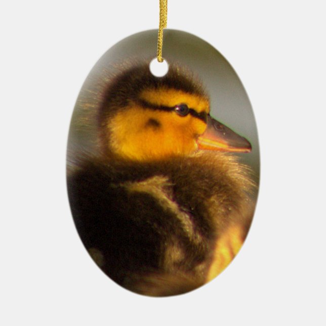 Duckling Photo Ornament (Framsidan)
