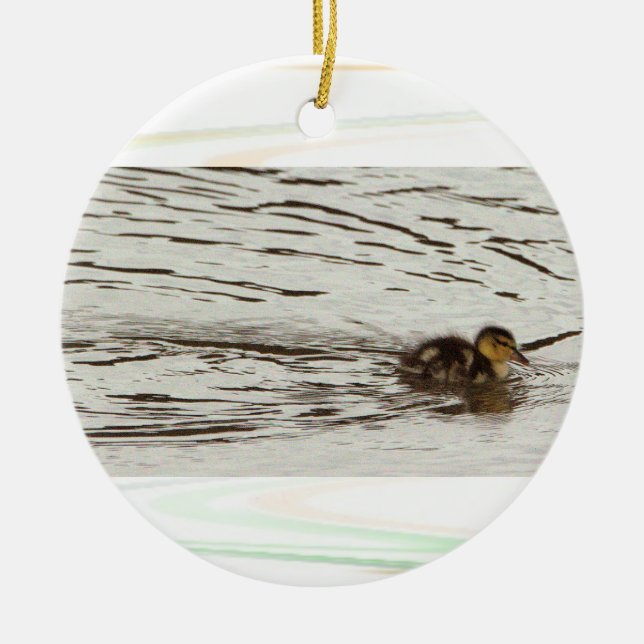 Duckling Photo Ornament (Framsidan)