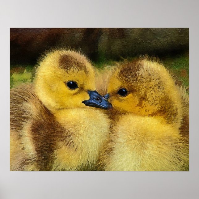 Duckling Poster (Framsidan)