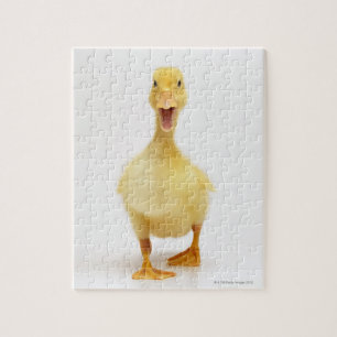 Duckling Pussel