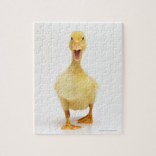 Duckling Pussel (Vertikal)