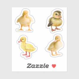 Duckling Stickers Klistermärken