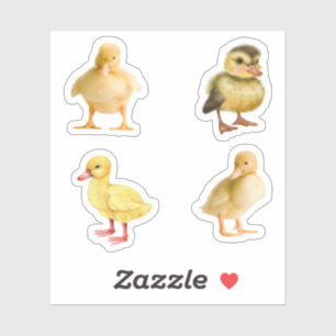 Duckling Stickers Klistermärken