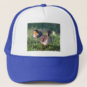 Duckling Truckerkeps