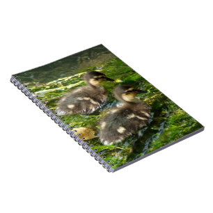 Ducklings-anteckningsbok Anteckningsbok Med Spiral