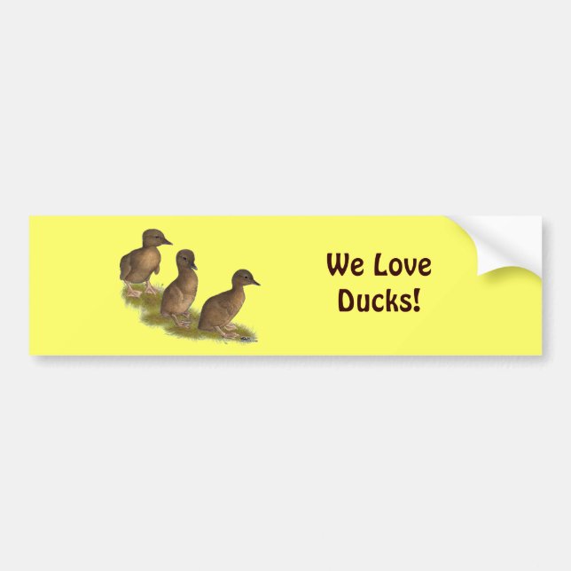 Ducklings: Choklad-Springer Bildekal (Framsidan)