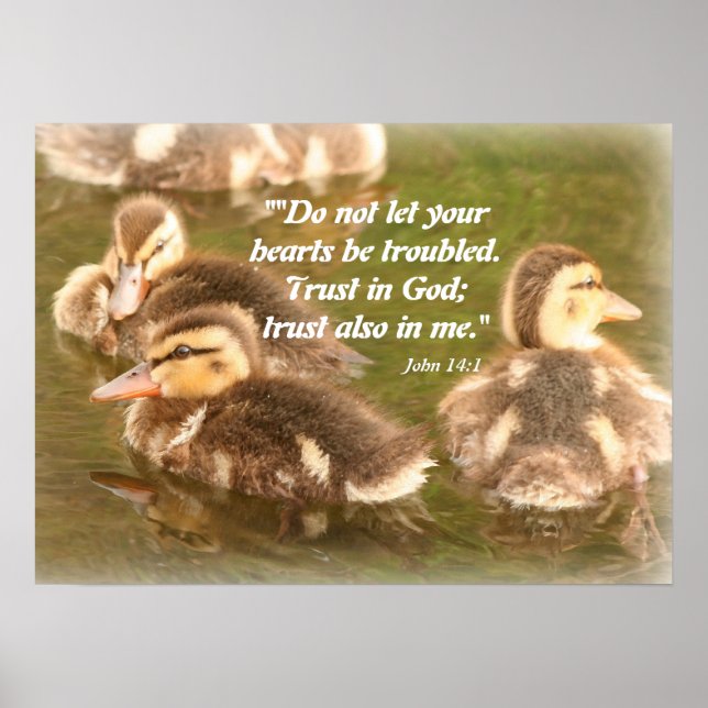 Ducklings Christian Poster (Framsidan)