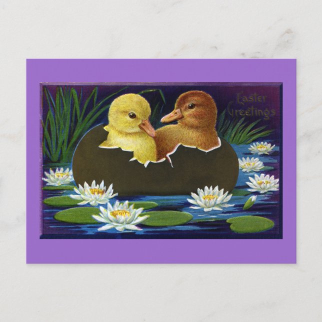 Ducklings i Eggshell Boat med Vatten Lilies Vykort (Framsida)