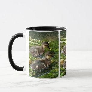 Ducklings Mugg