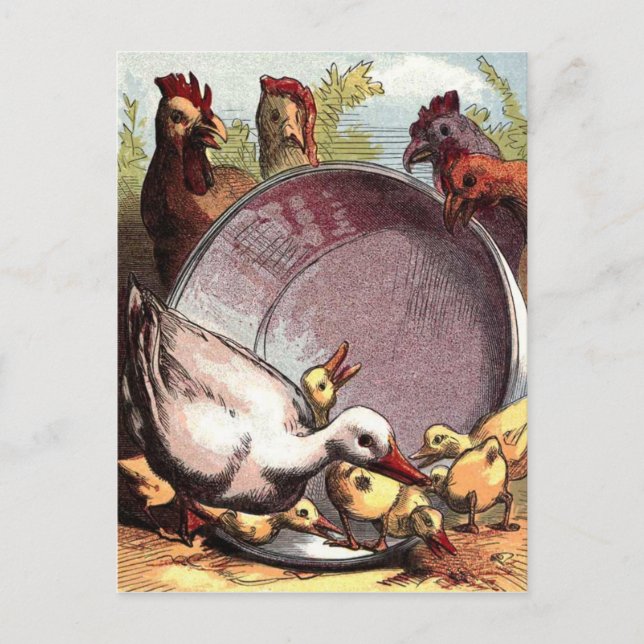 Ducklings och höns vykort (Framsida)