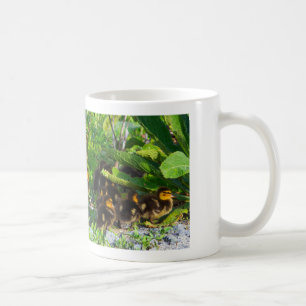 Ducklings Photo Mugg