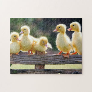 Ducklings Puzzle Pussel