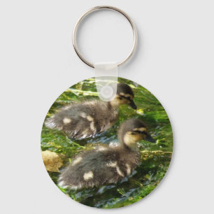 Ducklings vykort nyckelring