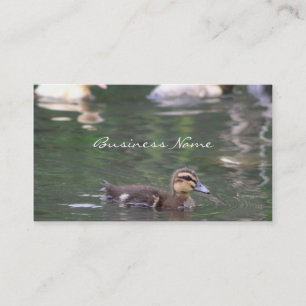 Ducklingsvisitkort Visitkort