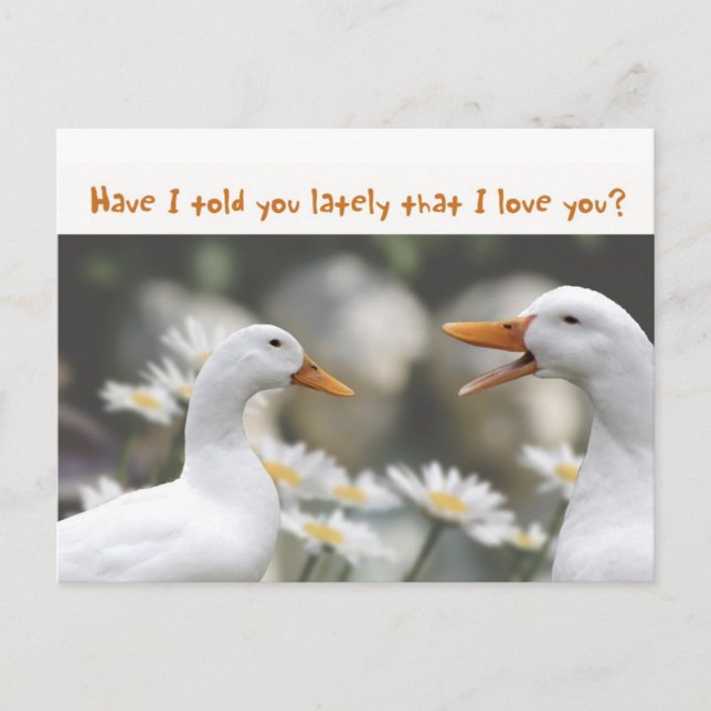DucktoDuckLove you Vykort (Framsida)