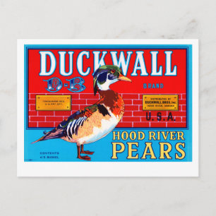 Duckwall Huva River Pears Vykort