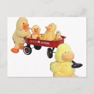 Ducky Flyer Vykort