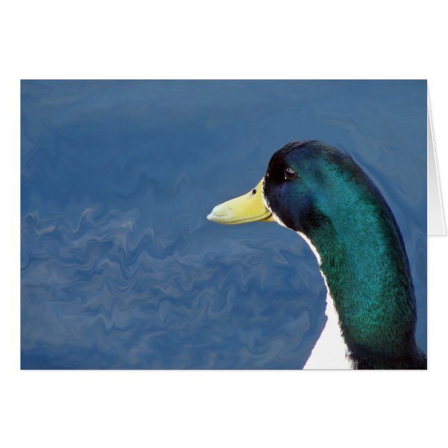 Ducky Hälsningskort (Framsidan Horizontal)