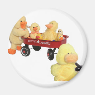 Ducky reklamblad magnet