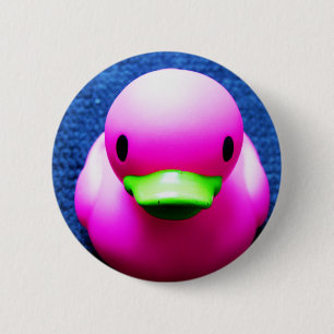 DuckyPie!! Knapp