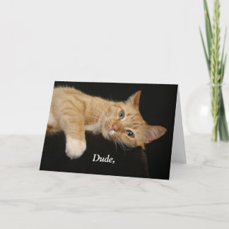 Dude, Kort