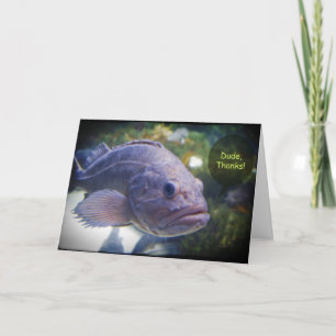 Dudetackfisk med det svart gränstackkortet tack kort