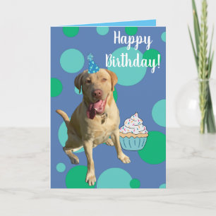 Dudley Labrador Birthday Card Kort