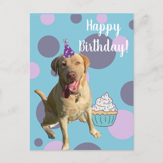Dudley Labrador Birthday Card Vykort (Framsida)