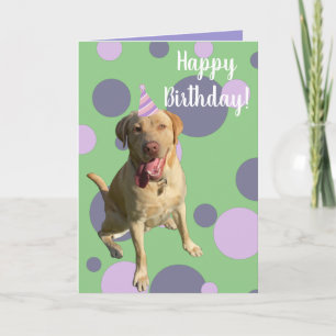 Dudley Labrador Birthday Kort