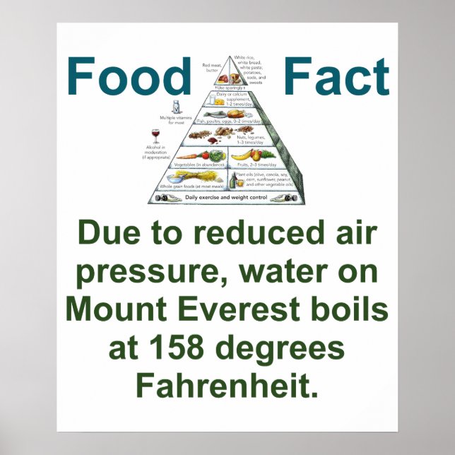 Due To Reduced Air Pressure - Food Fact Poster (Framsidan)