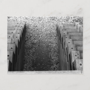 Dueling Staircase Vykort