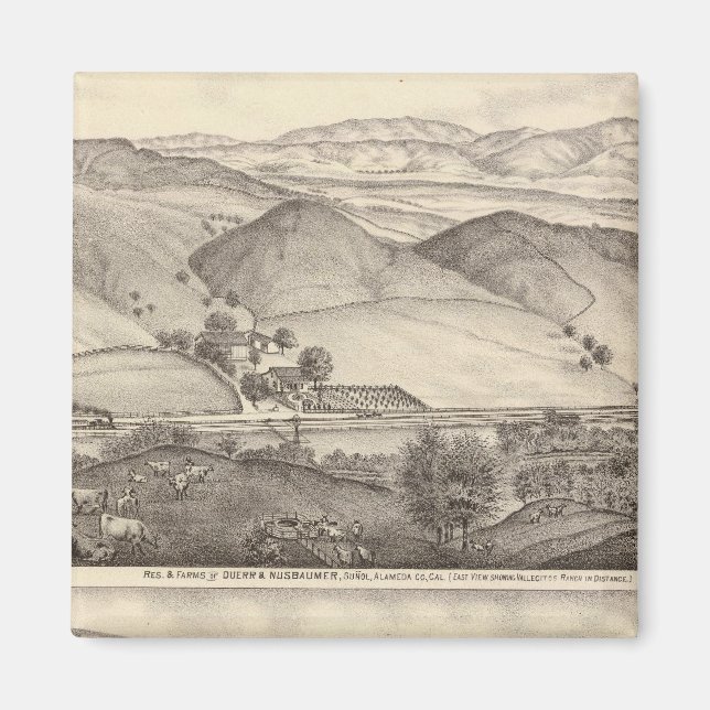 Duerr, Nusbaumer, Bachelder ranches Magnet (Framsidan)