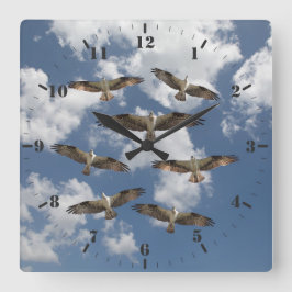 Duet av Ospreys i fotografiet himlar Fyrkantig Klocka