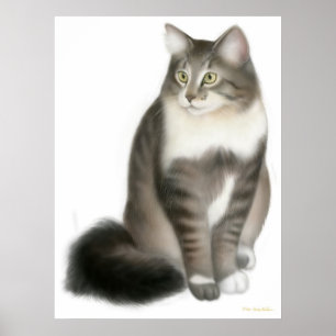 Duffy-utskrift av maine Coon Cat Poster