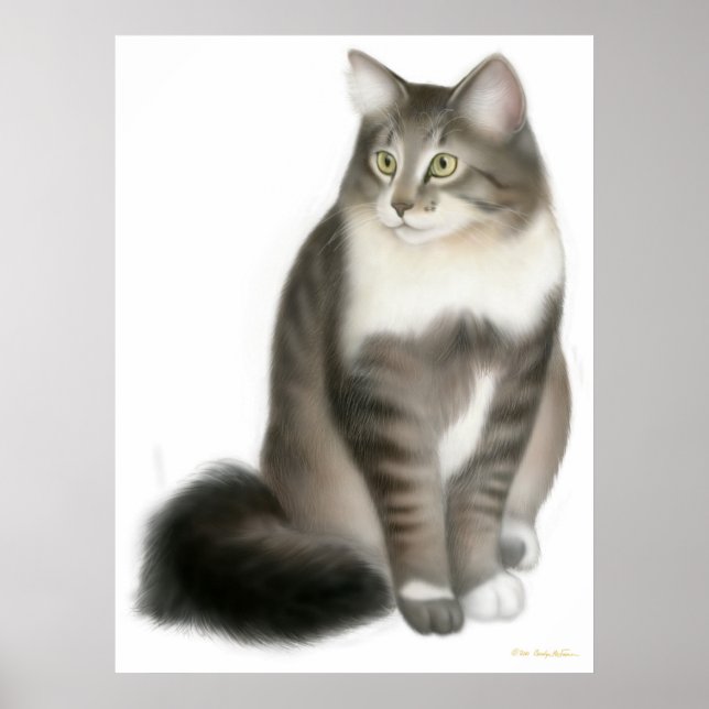 Duffy-utskrift av maine Coon Cat Poster (Framsidan)
