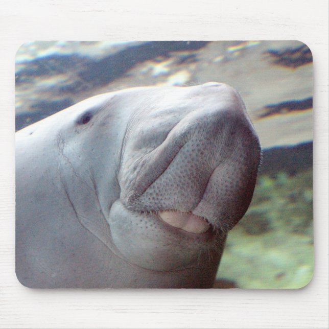 Dugong leende musmatta (Framsidan)