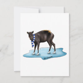 Duiker - julkort