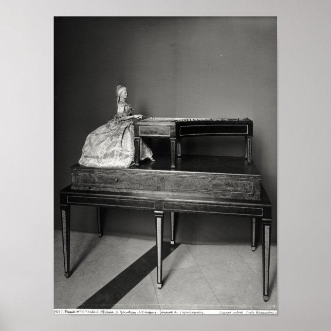 Dulcimer Player Poster (Framsidan)