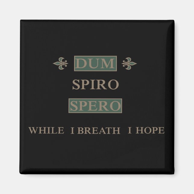 Dum spiro spero magnet (Framsidan)