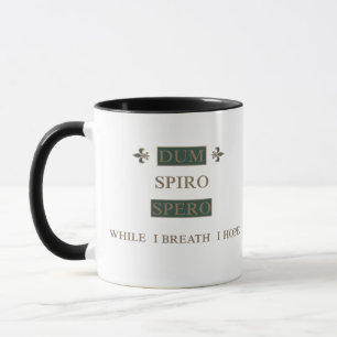 Dum spiro spero mugg