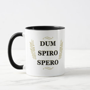 Dum spiro spero mugg