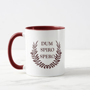 Dum spiro spero mugg