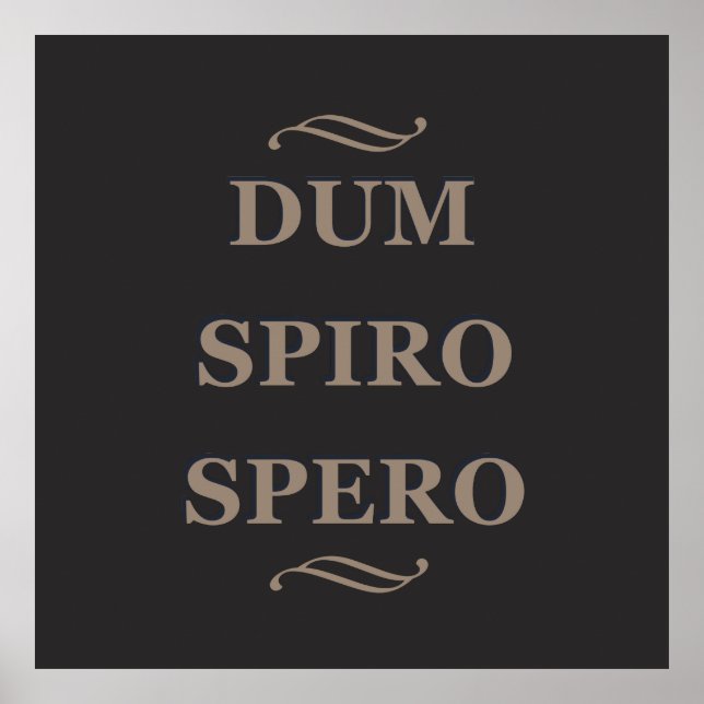 Dum spiro spero poster (Framsidan)