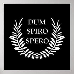 dum spiro spero poster