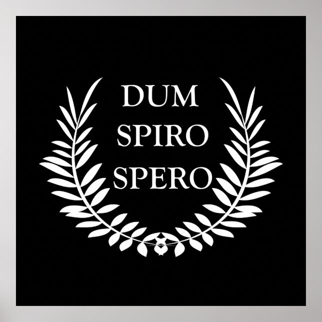 dum spiro spero poster (Framsidan)