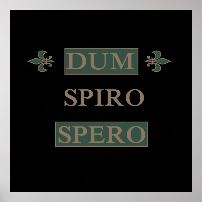 dum spiro spero poster (Framsidan)