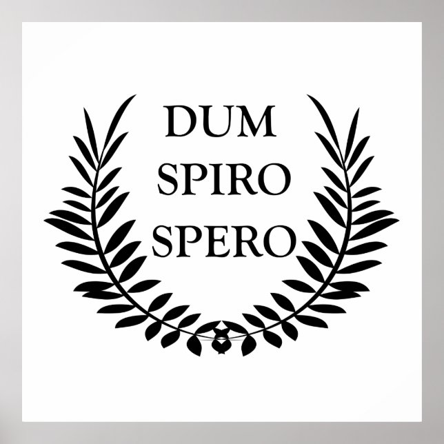 Dum spiro spero poster (Framsidan)