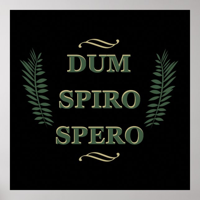 dum spiro spero poster (Framsidan)