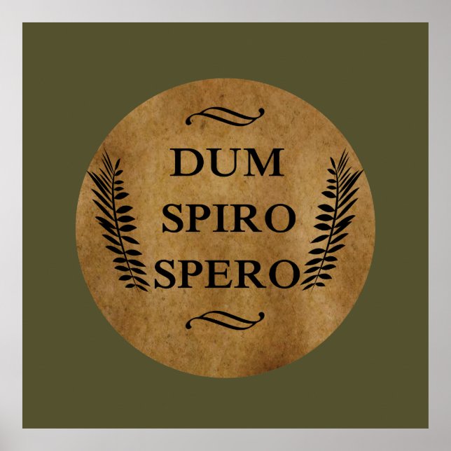 Dum spiro spero poster (Framsidan)